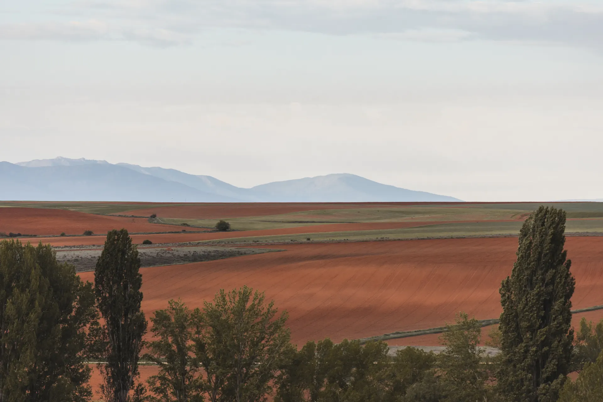 Campos rojizos con la sierra al fondo
