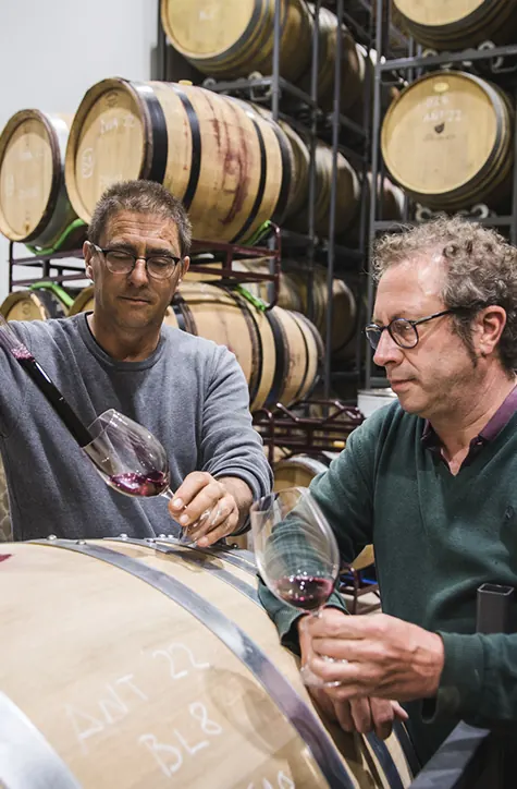 Cata de vino en la bodega